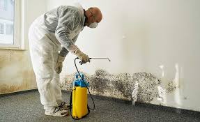 Best Water Damage & Mold Remediation  in USA